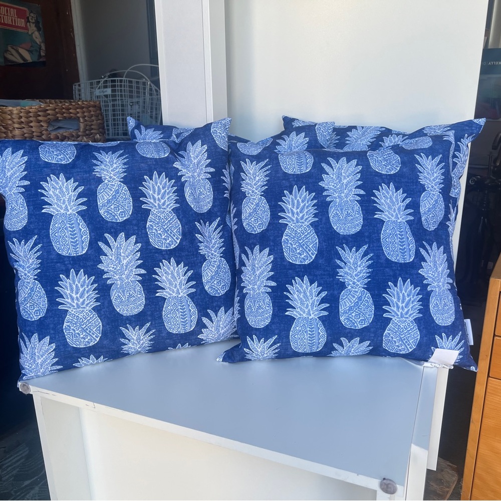 4 new Pineapple pillows.